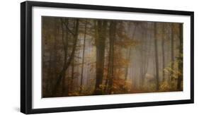 My November-Norbert Maier-Framed Photographic Print