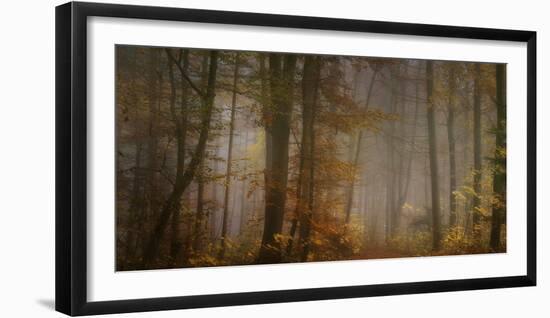 My November-Norbert Maier-Framed Photographic Print