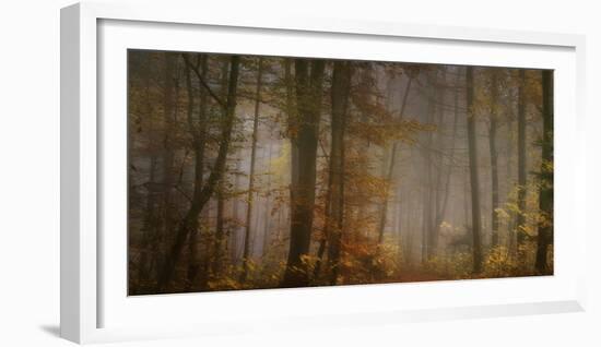 My November-Norbert Maier-Framed Photographic Print