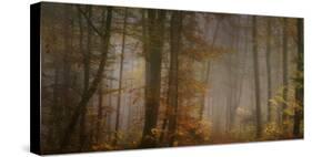 My November-Norbert Maier-Stretched Canvas