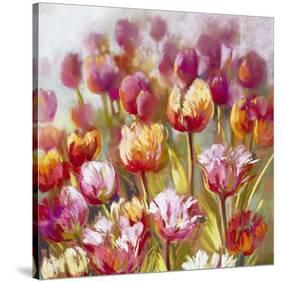 My oh My-Nel Whatmore-Stretched Canvas