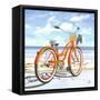 My Orange Pride-Scott Westmoreland-Framed Stretched Canvas