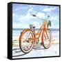 My Orange Pride-Scott Westmoreland-Framed Stretched Canvas