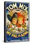 My Pal, the King, Tom Mix, Mickey Rooney, 1932-null-Framed Stretched Canvas