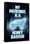 My Patronus is a Honey Badger Humor Poster-null-Framed Stretched Canvas