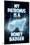 My Patronus is a Honey Badger Humor Poster-null-Mounted Poster