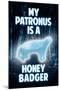 My Patronus is a Honey Badger Humor-null-Mounted Poster