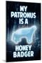 My Patronus is a Honey Badger Humor-null-Mounted Poster