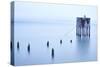 My Pet Panoramic-Moises Levy-Stretched Canvas