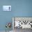 My Pet Panoramic-Moises Levy-Photographic Print displayed on a wall