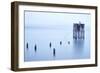 My Pet Panoramic-Moises Levy-Framed Photographic Print