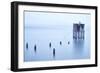 My Pet Panoramic-Moises Levy-Framed Photographic Print