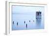 My Pet Panoramic-Moises Levy-Framed Photographic Print