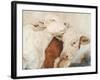 My Place or Yours II-Kathy Winkler-Framed Art Print