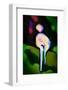 My Shadow and I-Ursula Abresch-Framed Photographic Print