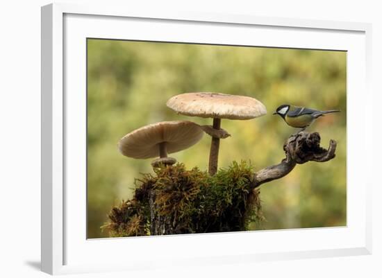 My Small Part of the World-Nicolás Merino-Framed Photographic Print