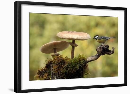 My Small Part of the World-Nicolás Merino-Framed Photographic Print