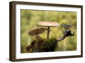 My Small Part of the World-Nicolás Merino-Framed Photographic Print