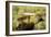 My Small Part of the World-Nicolás Merino-Framed Photographic Print