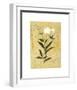 My Snow Flower-Dominique Gaudin-Framed Giclee Print