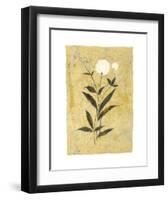 My Snow Flower-Dominique Gaudin-Framed Art Print