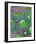 My Solar System II-Ricki Mountain-Framed Art Print