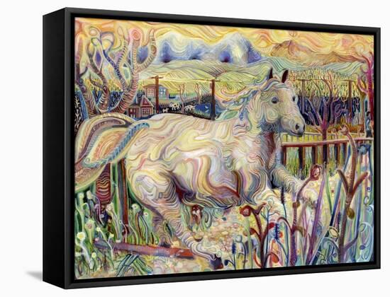 My Soul is an Escaped Horse-Josh Byer-Framed Stretched Canvas