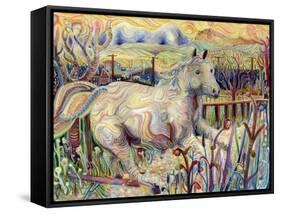 My Soul is an Escaped Horse-Josh Byer-Framed Stretched Canvas