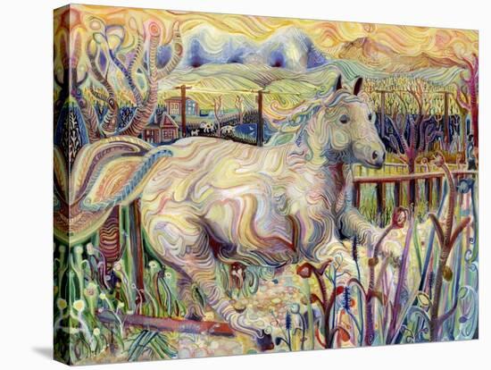 My Soul is an Escaped Horse-Josh Byer-Stretched Canvas