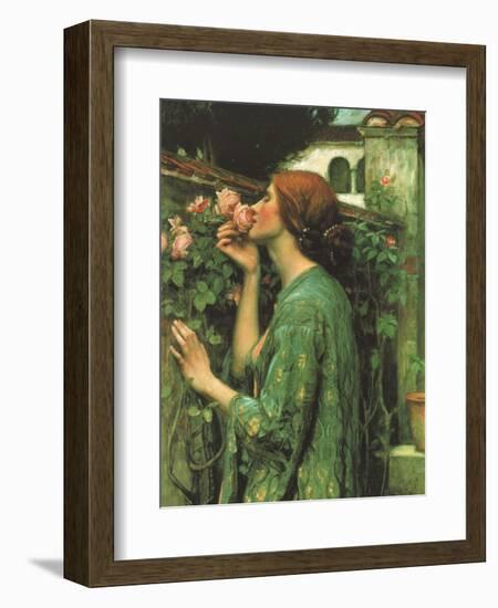 My Sweet Rose-null-Framed Giclee Print