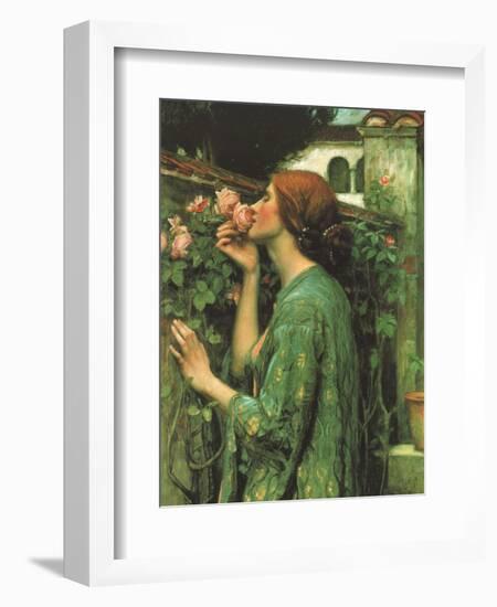 My Sweet Rose-null-Framed Giclee Print