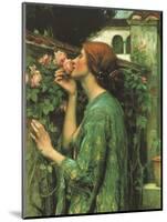 My Sweet Rose-null-Mounted Giclee Print