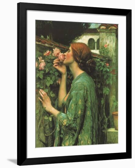 My Sweet Rose-null-Framed Giclee Print