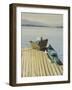 My Swimming Shorts on a Boat, Sandpoint Idaho, August-Tom Hughes-Framed Giclee Print