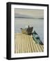 My Swimming Shorts on a Boat, Sandpoint Idaho, August-Tom Hughes-Framed Giclee Print