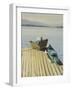 My Swimming Shorts on a Boat, Sandpoint Idaho, August-Tom Hughes-Framed Giclee Print