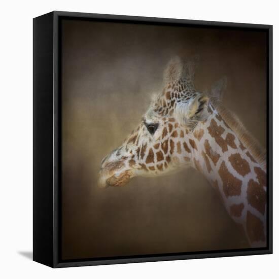 My Tallest Friend-Jai Johnson-Framed Stretched Canvas