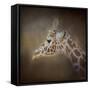 My Tallest Friend-Jai Johnson-Framed Stretched Canvas