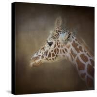 My Tallest Friend-Jai Johnson-Stretched Canvas