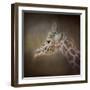 My Tallest Friend-Jai Johnson-Framed Giclee Print