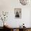 My Teddybear-Ellen Van Deelen-Photographic Print displayed on a wall