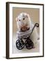 My Teddybear-Ellen Van Deelen-Framed Photographic Print