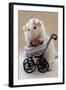 My Teddybear-Ellen Van Deelen-Framed Photographic Print