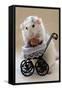 My Teddybear-Ellen Van Deelen-Framed Stretched Canvas