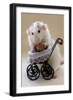 My Teddybear-Ellen Van Deelen-Framed Photographic Print