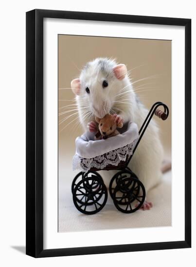 My Teddybear-Ellen Van Deelen-Framed Photographic Print