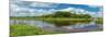 Myakka River in Myakka River State Park, Sarasota, Florida, USA-null-Mounted Photographic Print