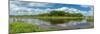 Myakka River in Myakka River State Park, Sarasota, Florida, USA-null-Mounted Photographic Print