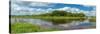 Myakka River in Myakka River State Park, Sarasota, Florida, USA-null-Stretched Canvas