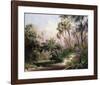 Myakka River Scene-Art Fronckowiak-Framed Art Print